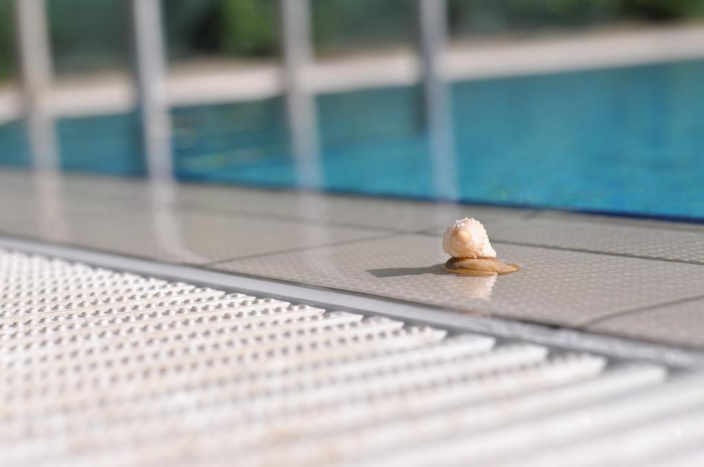 Aqua Wellness Apartments Hajduszoboszlo Phòng bức ảnh
